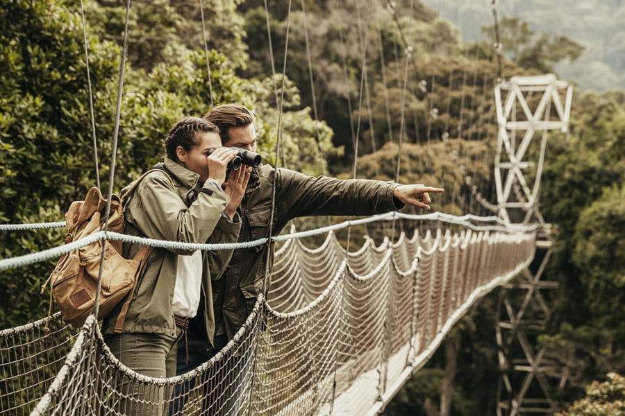 canopy-observing-in-nyungwe