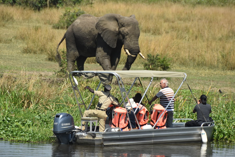 elephant-near-boat