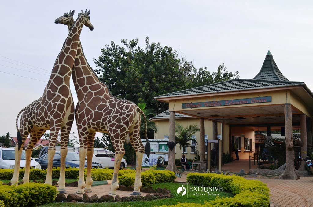 Entebbe Zoo