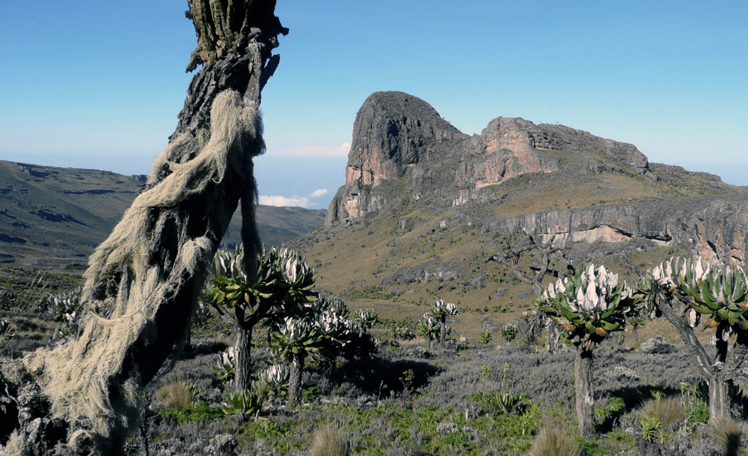 Visit Mount Elgon. Top 5 Things To See, DO & Enjoy