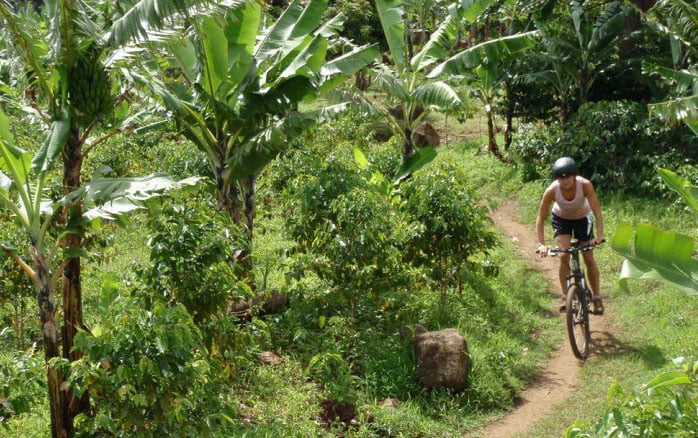 7 Fun Things To Do In Sipi Falls