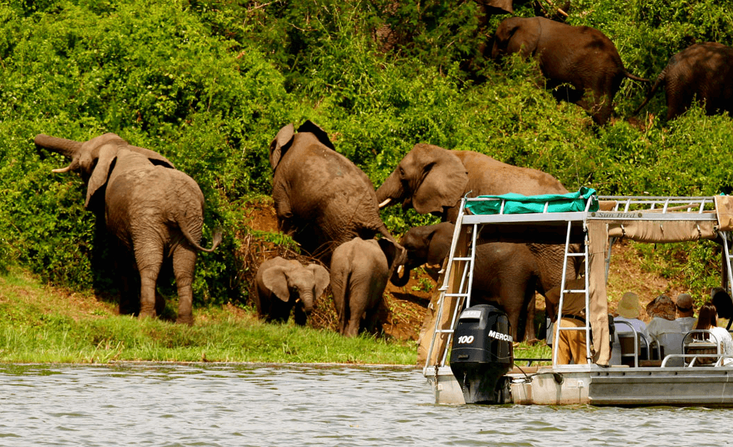 7 Days Uganda At Glance Safari Adventure