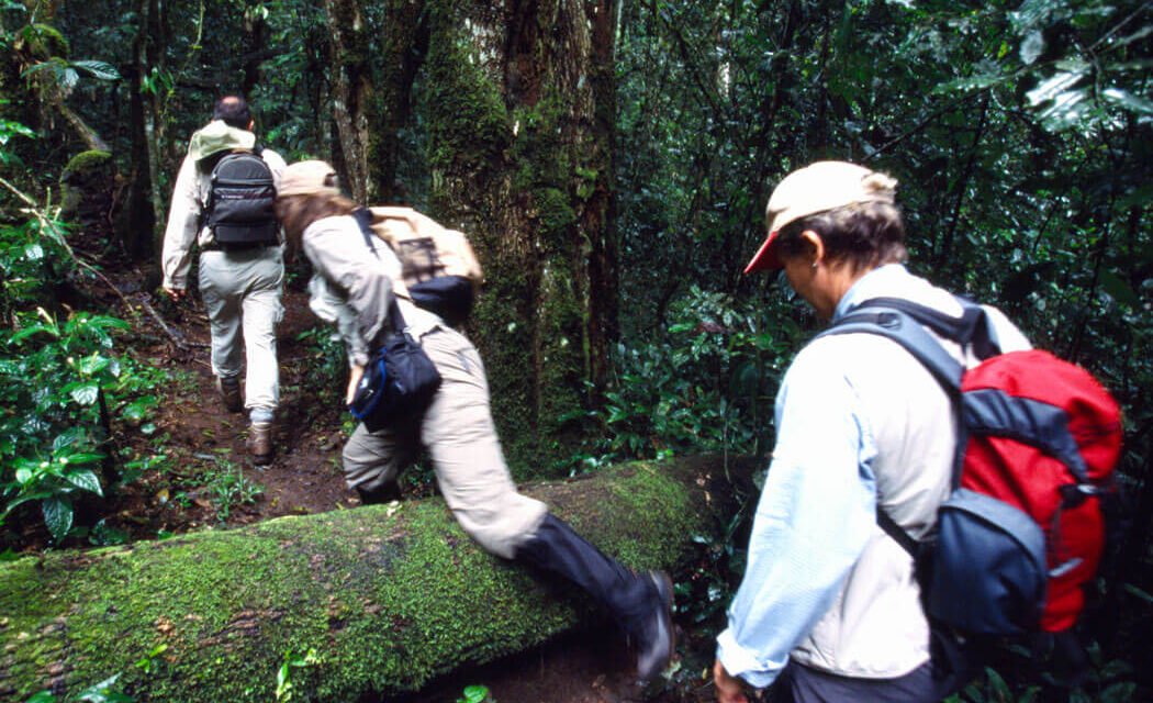 Uganda Safari Activities. 35+ things to do in Uganda