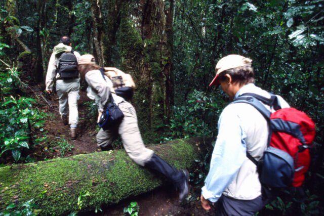 Uganda safari activities