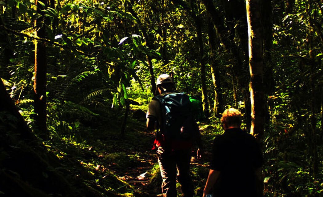 Sustainable Travel in Uganda. 6 Helpful Insights for your Uganda Safari