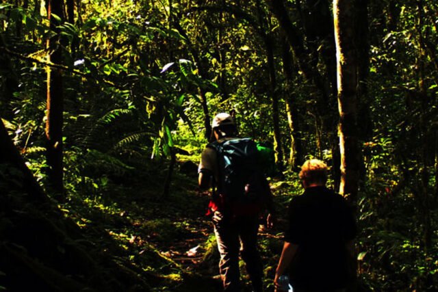 sustainable travel