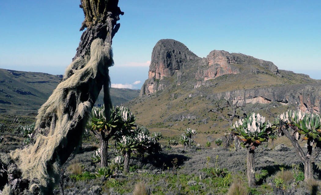 7 Days Eastern Uganda Safari