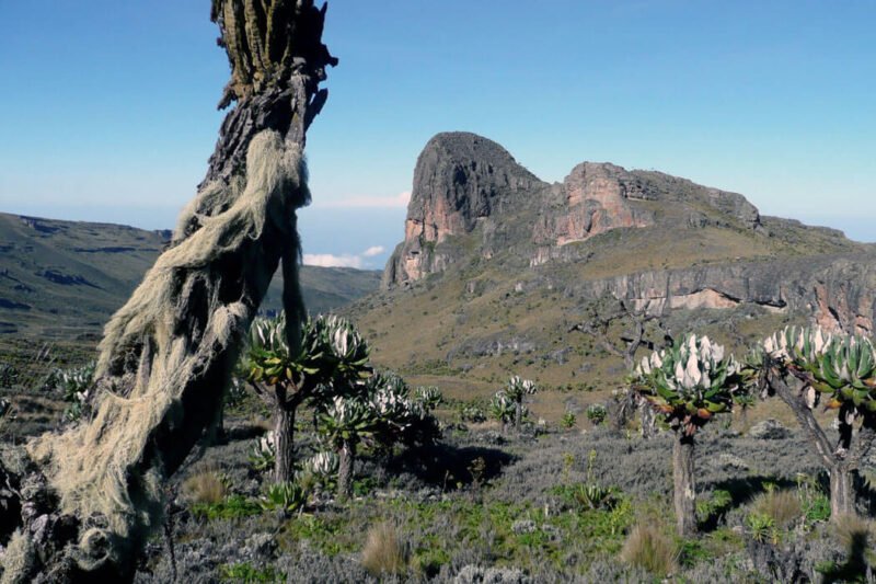 7 Days Eastern Uganda Safari