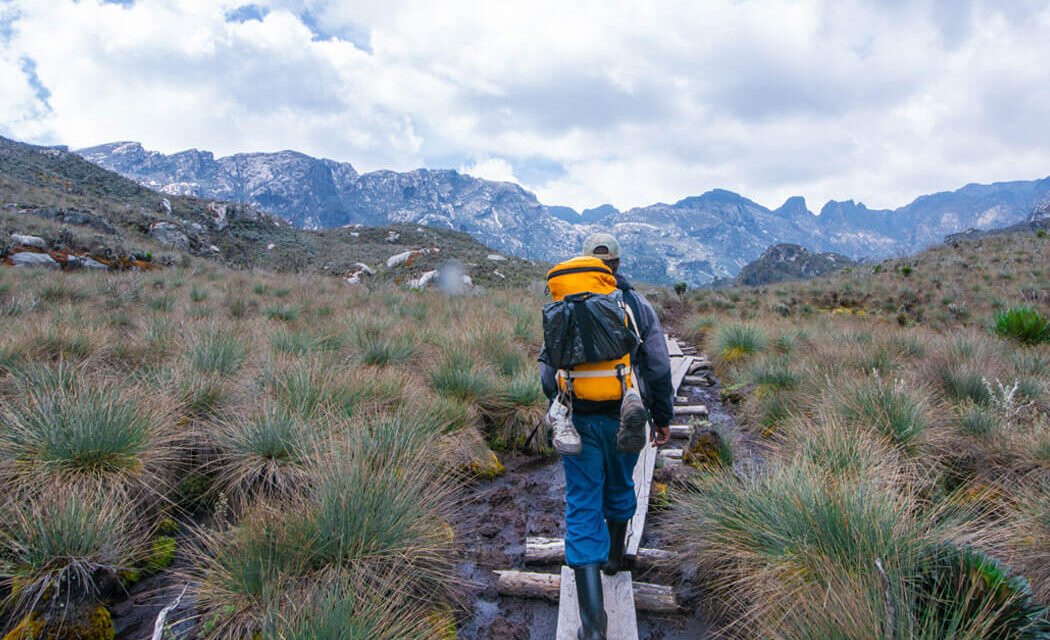 Solo Travel Uganda Tips