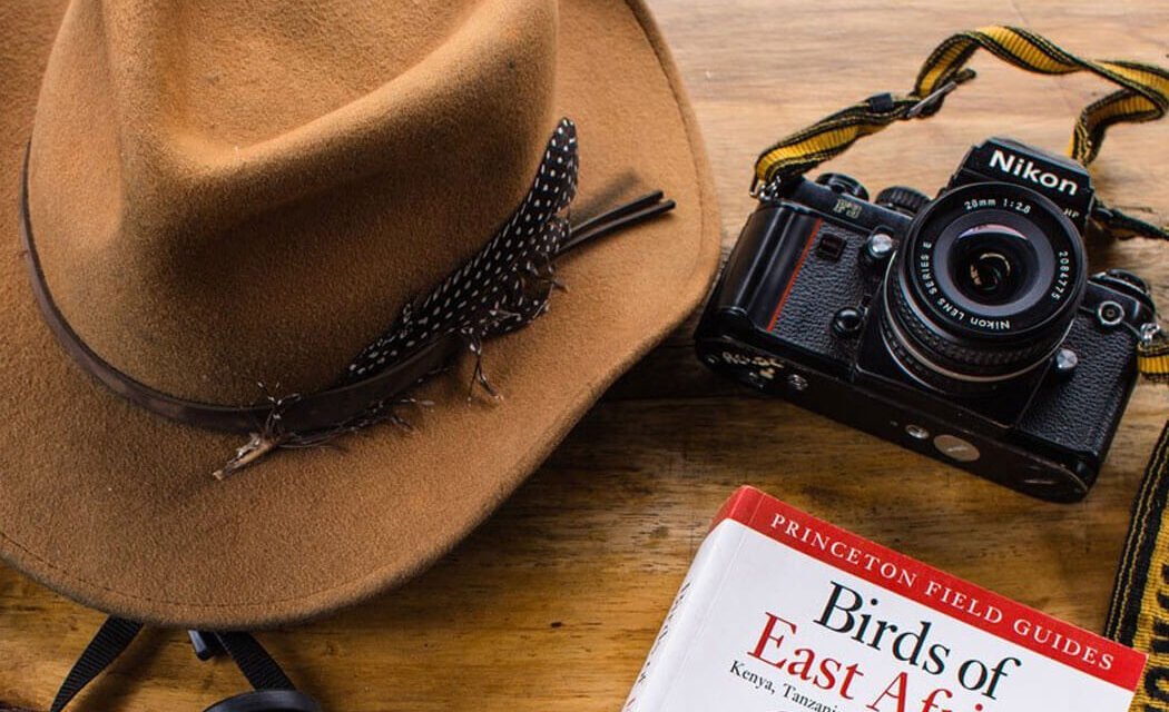 African Safari Photography. 6 Tips to improve your photos while on safari