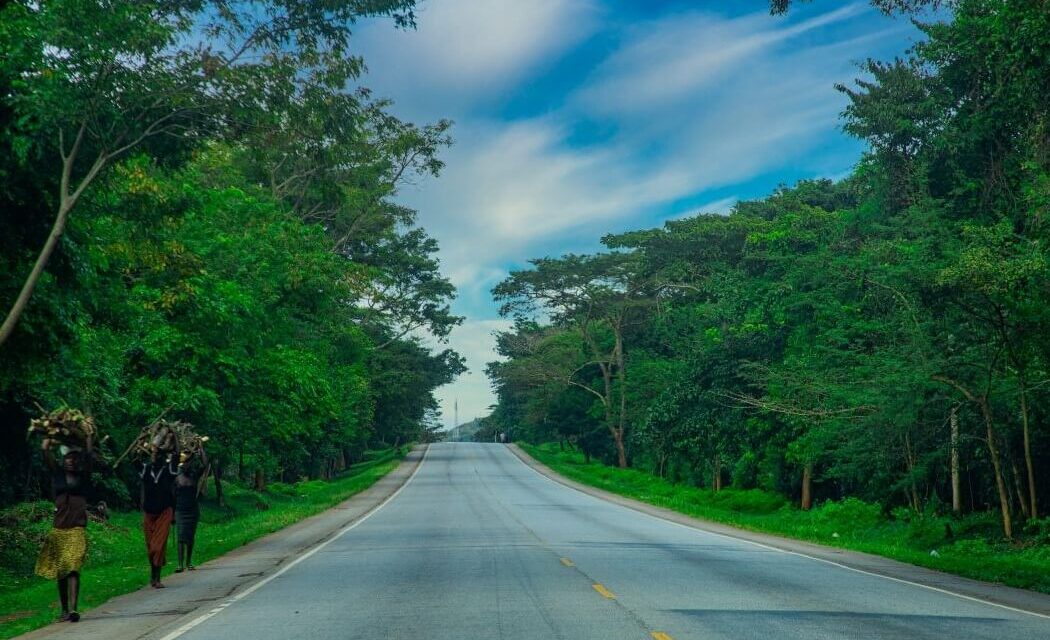 Discover Busitema Forest. A hidden gem in Eastern Uganda