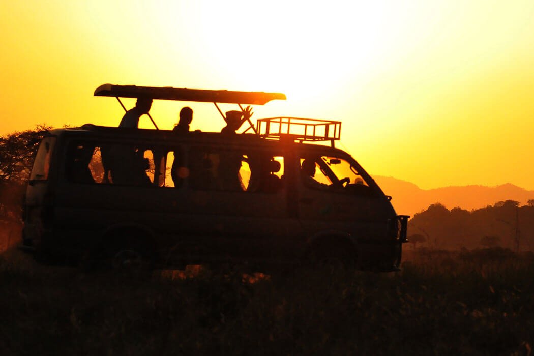 safari sunset
