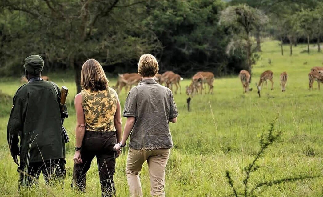 Qualities To Expect Of Your Tour Guide. 10 Things To Look Out For